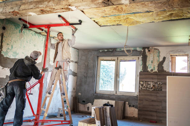 Eco-Friendly or Green Insulation Solutions in Joliet, IL